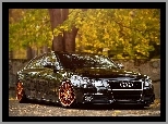 A4, Blask, Audi, B8